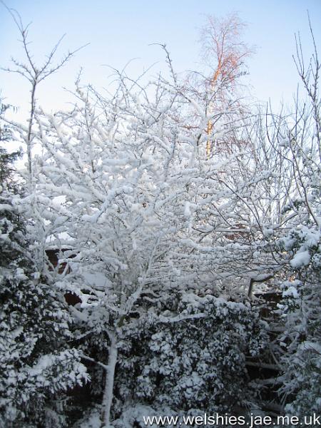 2009-12-19 01.JPG
